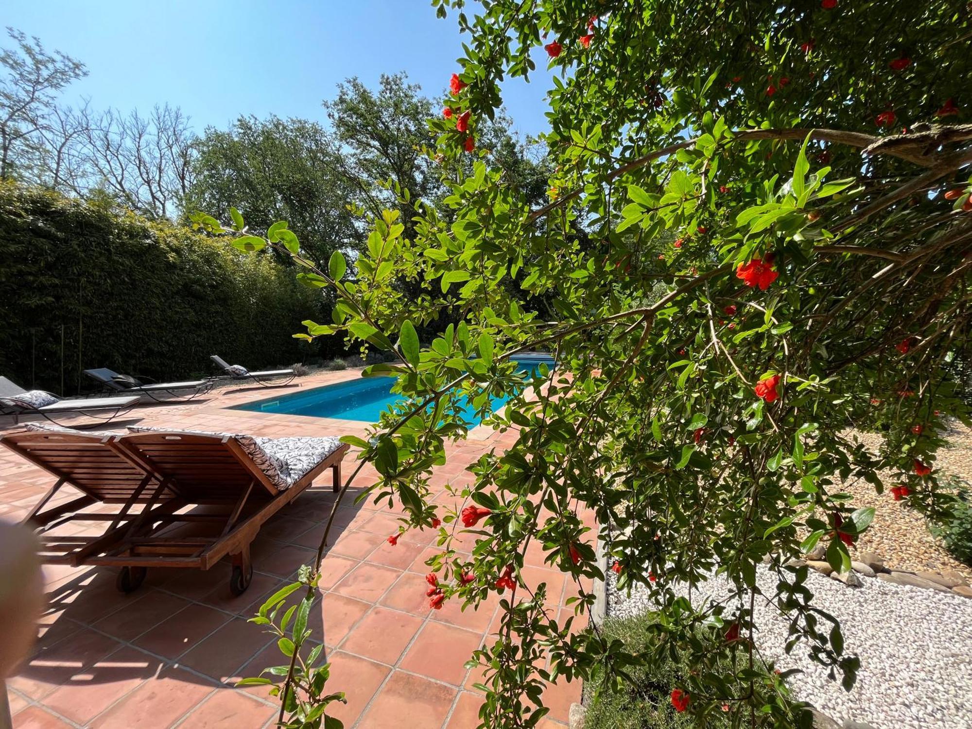 Guest house Chateau De Roquelune Pezenas